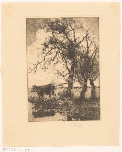 Vaca na beira-mar de Gerard Altmann (signed by artist)