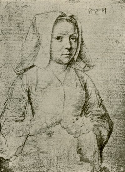Jovem, final do século XV-XVI, 1908. de Gerard David