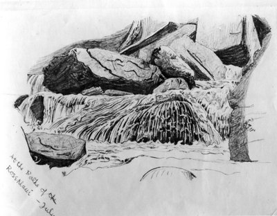 Nos Banhos de Rosenlaui - julho de c.1867 (lápis sobre papel) de Gerard Manley Hopkins