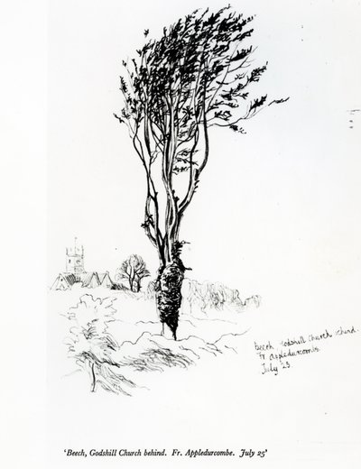 Faia, Godshill Igreja atrás. Pe. Appledurcombe. 25 de julho de 1860 de Gerard Manley Hopkins