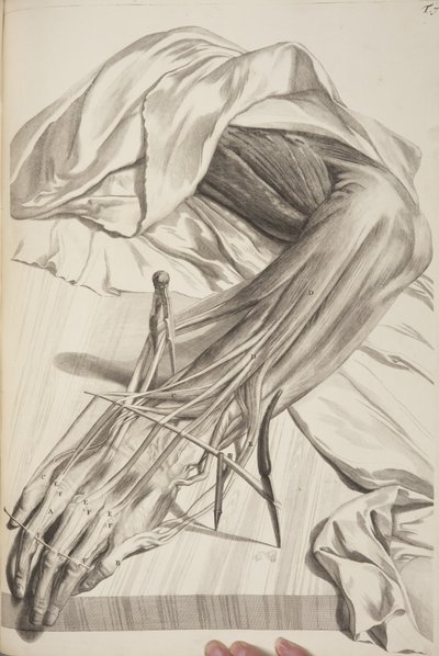 Anatomia do corpo humano por Govard Bidloo, 1685 de Gerard de Lairesse
