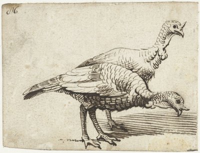 Dois perus de Gerard ter Borch (I)