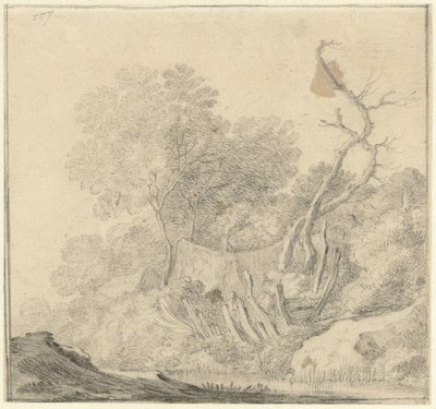 Casas entre árvores perto de água de Gerard ter Borch (II) (possibly)