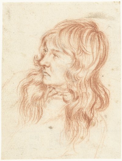 Cabeça de um jovem, à esquerda de Gerard ter Borch (II)