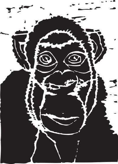 Chimpanzé de Gerhardt Isringhaus