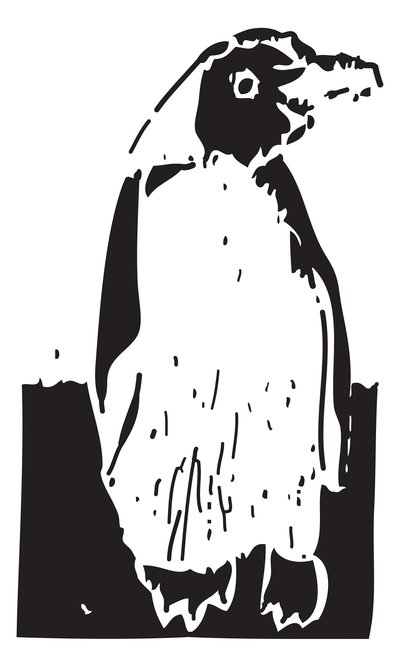 Pinguim de Gerhardt Isringhaus