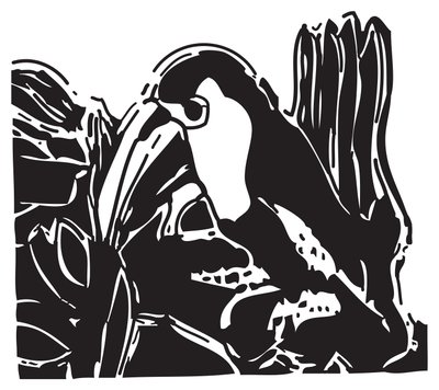 Toucan de Gerhardt Isringhaus