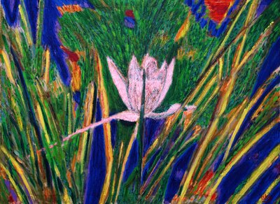 Water Lilys, 2019, óleo sobre tela de Gerhardt Isringhaus