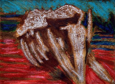 Esqueleto de baleia,2019 (óleo sobre tela) de Gerhardt Isringhaus