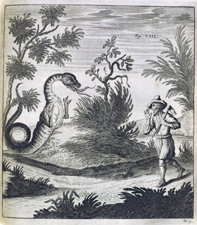 Um Dragão Temeroso, c.1660 de German School