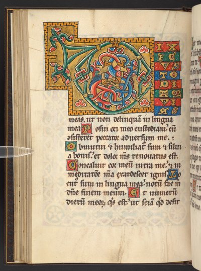 Adicionar. 60629, f.43v Grandes iniciais emolduradas em ouro e cores com ornamentos foliáceos e às vezes zoomórficos e antropomórficos (velino) de German School