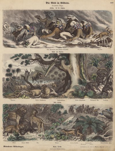 África: uma caravana apanhada numa tempestade de areia no Saara; a costa da Guiné; África do Sul (gravura colorida) de German School