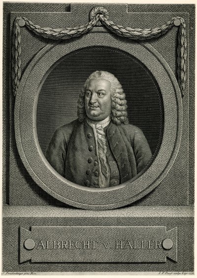 Albert von Haller de German School