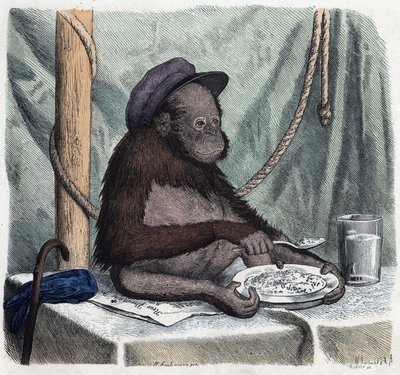 Um orangotango educado (orangotango, orangotango, orangotango, orangotango) come arroz com uma colher. Em "Wenn Jemand eine Reise thut, so kann erzahlen" (Quando alguém viaja, isto é o que ele pode dizer), conto alemão de Franz Wiedemann de German School