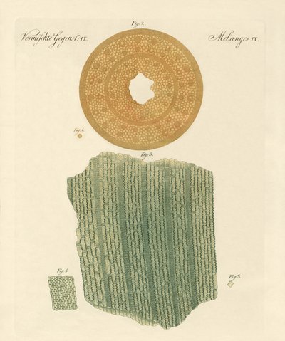 Anatomia de um canudo de German School