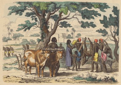 Antigo agricultor egípcio e caçadores (gravura colorida) de German School