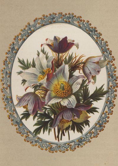 Anémonas (chromolitho) de German School