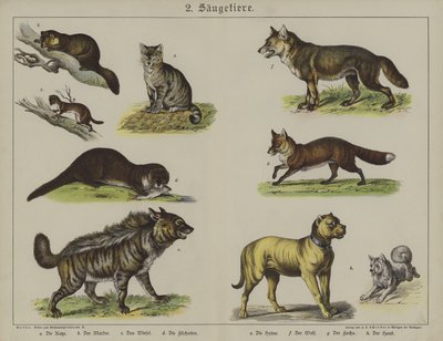 Animais (cor litho) de German School