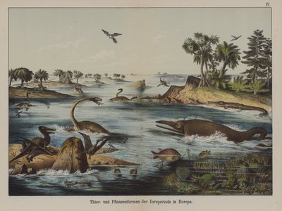 Animais e plantas do Período Jurássico na Europa (cor litho) de German School