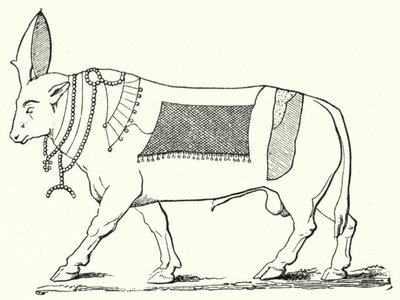 Apis, touro sagrado do Antigo Egipto (gravura) de German School