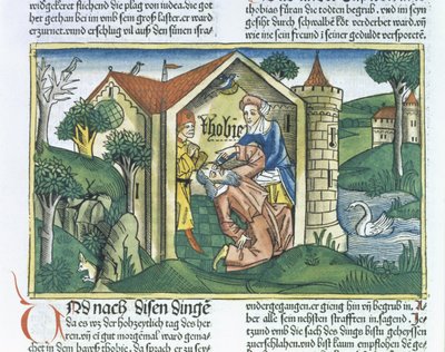 Apocrypha: Tobit é cegado por excrementos de pardais, da Bíblia de Nuremberg (Biblia Sacra Germanaica) (xilogravura colorida) de German School