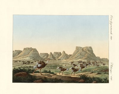 Área na África do Sul na terra da Boa Esperança de German School