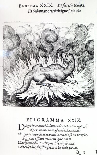 Como a Salamandra vive no fogo, também a Pedra, Emblema XXIX da Atalanta fugiens, de Michael Maier, 1617 de German School