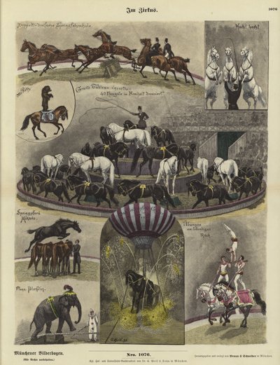No Circo de German School
