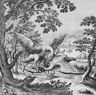 Aves que lutam a partir de Musaeum Hermeticum de German School