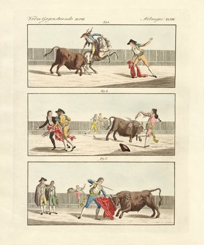 Touradas do espanhol (gravura colorida) de German School