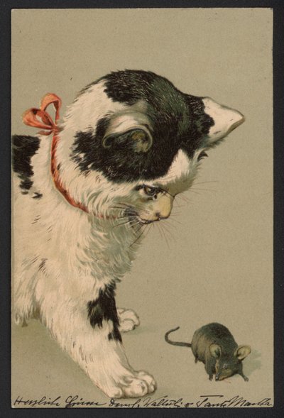 Gato a brincar com um rato (litografia a cores) de German School