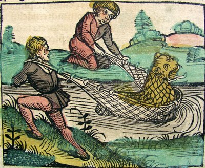 Captura de um peixe-gato-leão Publicado em Nuremberg Chronicle, 1493 de German School