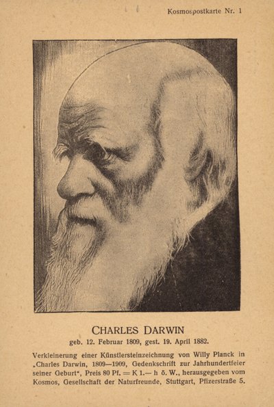 Charles Darwin (1809-1882), naturalista inglês (litografia) de German School
