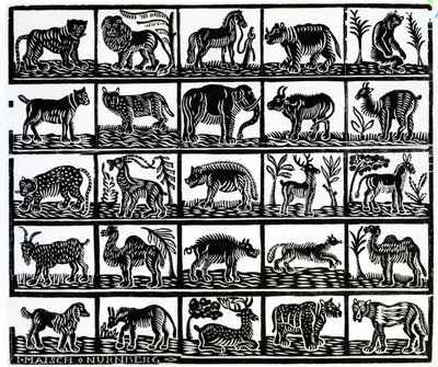 Coleção de animais de German School