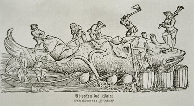 Cortar uma baleia (xilogravura) de German School