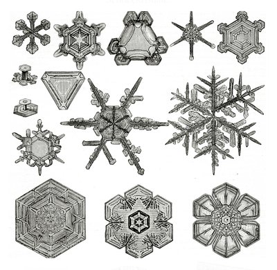 Diferentes formas de flocos de neve de German School