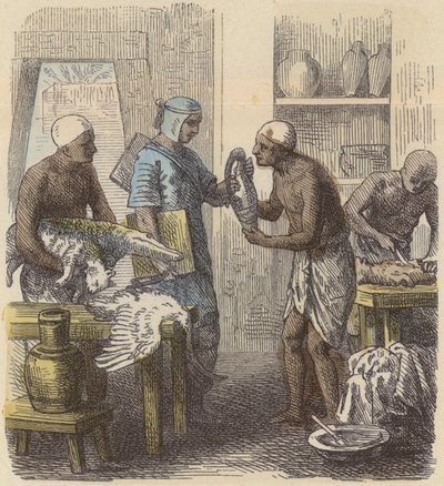 Embalsamamento de animais no Antigo Egipto (gravura colorida) de German School
