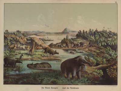 Animais europeus do período terciário (cor litho) de German School
