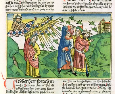 Êxodo 10: 1-20 As Sete Pragas do Egito: a praga dos gafanhotos, da Bíblia de Nuremberg (Biblia Sacra Germanaica) (xilogravura colorida) de German School