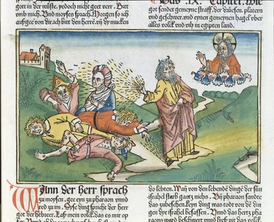 Êxodo 9 8-12 As Sete Pragas do Egito: Moisés e a praga dos furúnculos, da Bíblia de Nuremberg (Biblia Sacra Germanaica) (xilogravura colorida) de German School