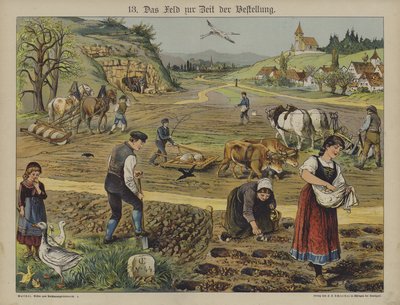 Agricultura (cor litho) de German School