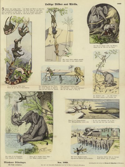Fotos engraçadas da África de German School