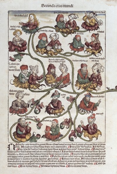 Árvore Genealógica de Laban, de &39;Liber Chronicarum&39; por Hartmann Schedel (1440-1514) 1493 (cor xilogravura) de German School
