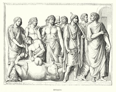 Haruspex, antigo sacerdote romano que examinava os estratos dos animais sacrificados para prever o futuro (litho) de German School