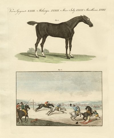 Corridas de cavalos na Inglaterra de German School