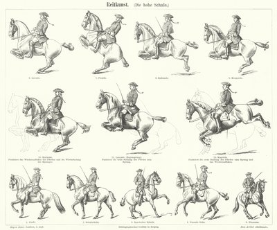 Horsemanship (gravura) de German School