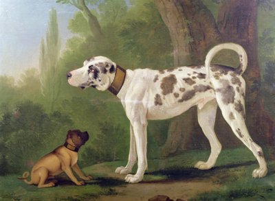 Cão e Terrier de German School