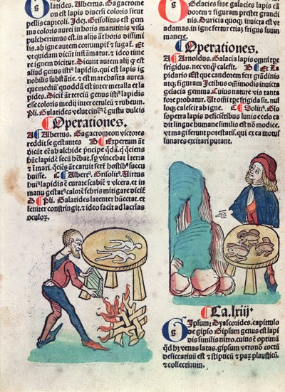Página ilustrada de Hortus Sanitatis, 1491 (xilogravura colorida) de German School