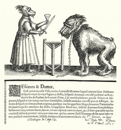 Convite para uma exposição de macacos e macacos (gravura) de German School