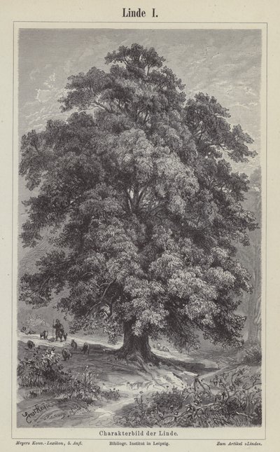 Lindeneiro (gravura) de German School